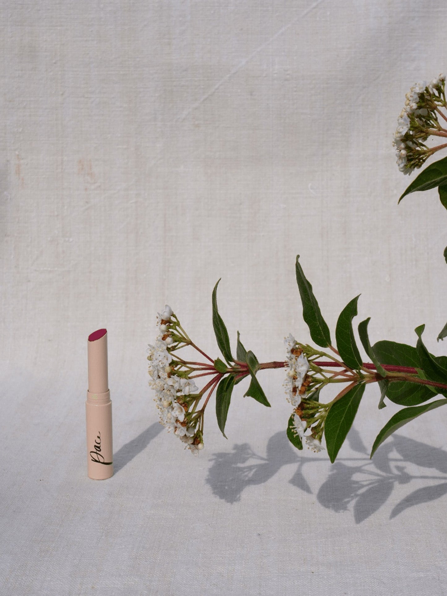 Tinted lip balm - Pace